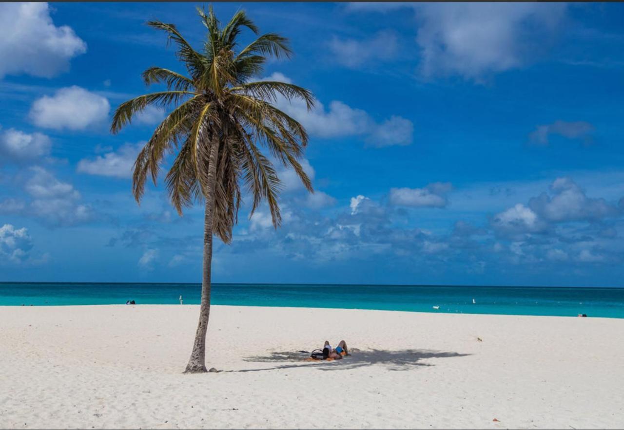 Ocean View Condo Overlooking The Caribbean Sea オラニエスタッド エクステリア 写真